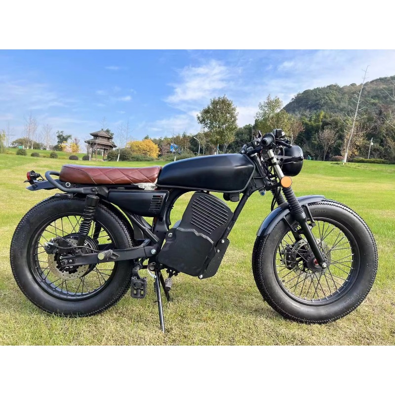 Lvyuan China Factory Direct Sa - Electric Scooter Adults recension och pris