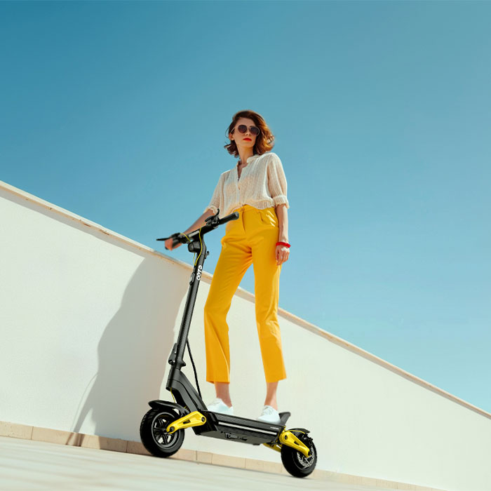 EU Stock C-Type Damping Dual S - Folding Electric Scooter recension och pris